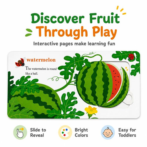 Baby Lift-The-Flap Learning Book Set